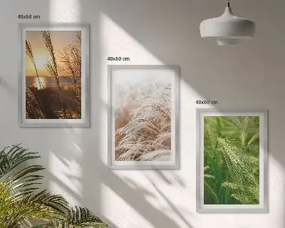 Conjunto de quadros modernos grama e natureza colorida