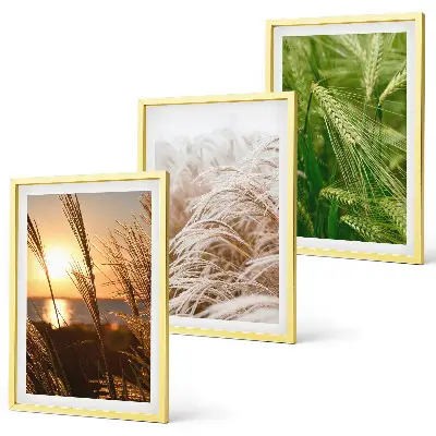 Conjunto de quadros modernos grama e natureza colorida