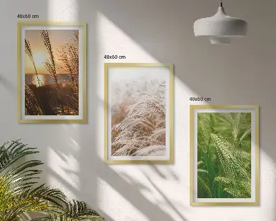 Conjunto de quadros modernos grama e natureza colorida