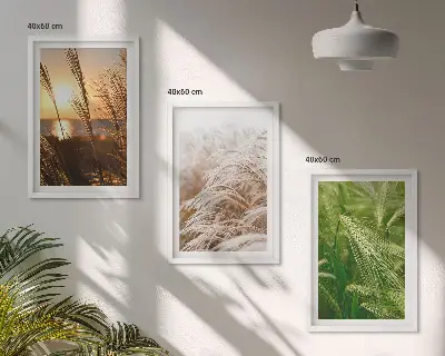 Conjunto de quadros modernos grama e natureza colorida