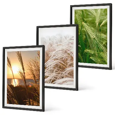 Conjunto de quadros modernos grama e natureza colorida