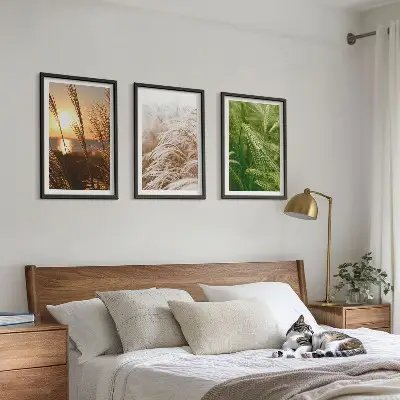 Conjunto de quadros modernos grama e natureza colorida