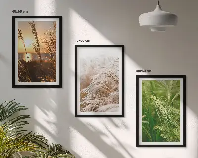 Conjunto de quadros modernos grama e natureza colorida
