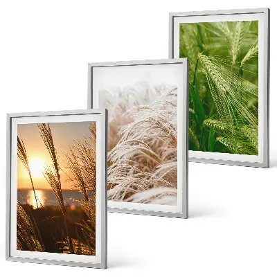 Conjunto de quadros modernos grama e natureza colorida