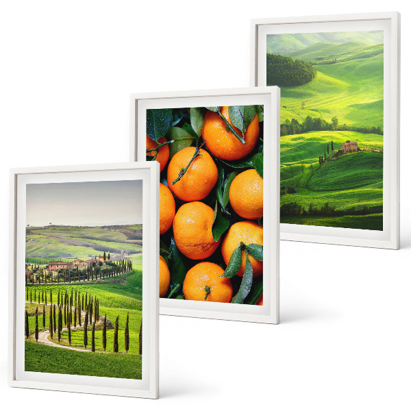 Conjunto de quadros para sala de estar paisagem rural italiana laranjas