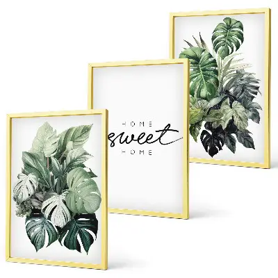Conjunto de quadros para sala de estar com estampas de plantas e a inscrição Doce Lar