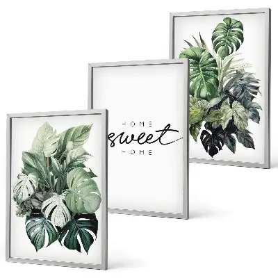 Conjunto de quadros para sala de estar com estampas de plantas e a inscrição Doce Lar