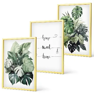 Conjunto de 3 quadros com moldura estampa de folhas de monstera em aquarela