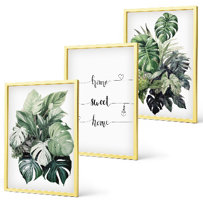 Conjunto de 3 quadros com moldura Folhas de Monstera em aquarela