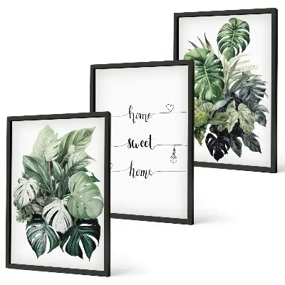 Conjunto de 3 quadros com moldura estampa de folhas de monstera em aquarela