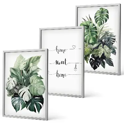 Conjunto de 3 quadros com moldura estampa de folhas de monstera em aquarela