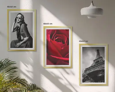 Conjunto de quadros para sala de estar com estampa de senhora parisiense usando óculos em formato de Torre Eiffel