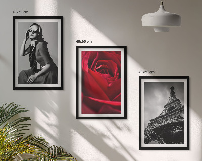 Conjunto de quadros para sala de estar Senhora parisiense com óculos em formato de Torre Eiffel
