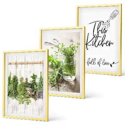 Conjunto de quadros decorativos modernos com tema de cozinha e ervas secas