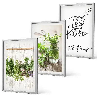Conjunto de quadros decorativos modernos com tema de cozinha e ervas secas