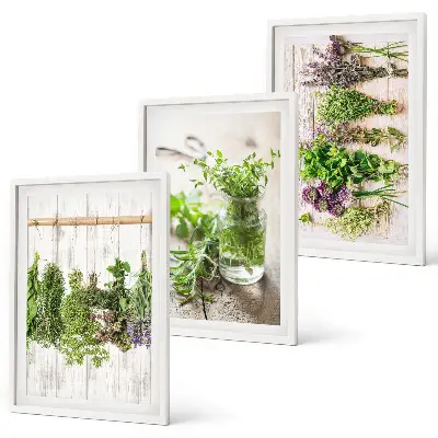 Conjunto de quadros para sala de estar com estampas de plantas de ervas aromáticas para cozinha