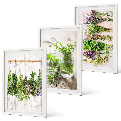 Conjunto de quadros para sala de estar Plantas de ervas aromáticas para a cozinha