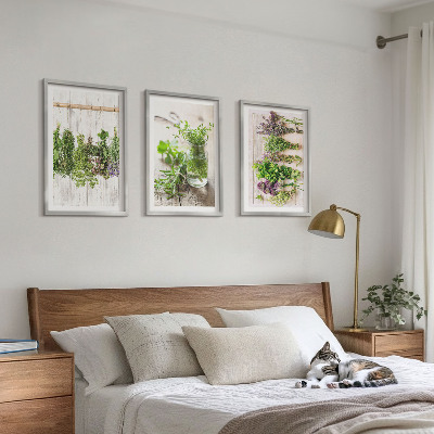 Conjunto de quadros para sala de estar Plantas de ervas aromáticas para a cozinha