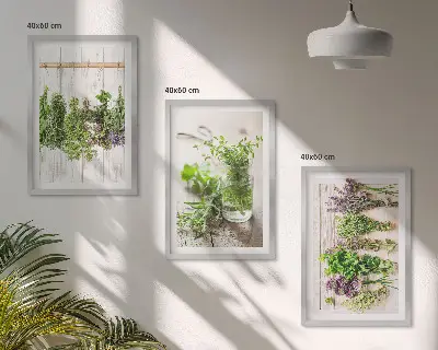 Conjunto de quadros para sala de estar com estampas de plantas de ervas aromáticas para cozinha