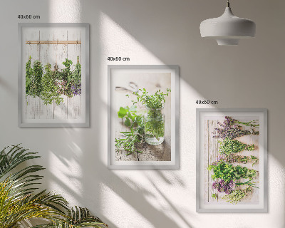 Conjunto de quadros para sala de estar Plantas de ervas aromáticas para a cozinha