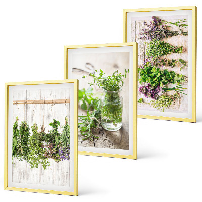 Conjunto de quadros para sala de estar Plantas de ervas aromáticas para a cozinha