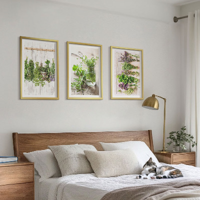 Conjunto de quadros para sala de estar Plantas de ervas aromáticas para a cozinha