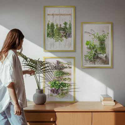 Conjunto de quadros para sala de estar Plantas de ervas aromáticas para a cozinha