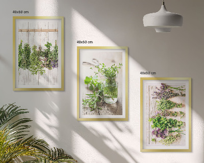 Conjunto de quadros para sala de estar Plantas de ervas aromáticas para a cozinha