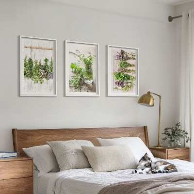Conjunto de quadros para sala de estar Plantas de ervas aromáticas para a cozinha