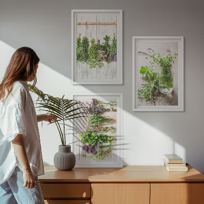Conjunto de quadros para sala de estar Plantas de ervas aromáticas para a cozinha