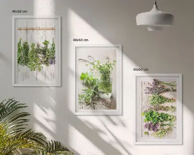 Conjunto de quadros para sala de estar com estampas de plantas de ervas aromáticas para cozinha