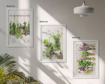 Conjunto de quadros para sala de estar Plantas de ervas aromáticas para a cozinha