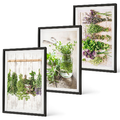 Conjunto de quadros para sala de estar Plantas de ervas aromáticas para a cozinha