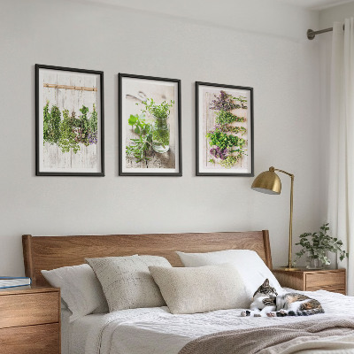 Conjunto de quadros para sala de estar Plantas de ervas aromáticas para a cozinha