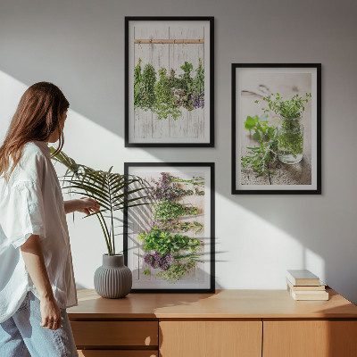 Conjunto de quadros para sala de estar Plantas de ervas aromáticas para a cozinha