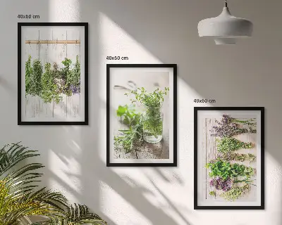 Conjunto de quadros para sala de estar com estampas de plantas de ervas aromáticas para cozinha