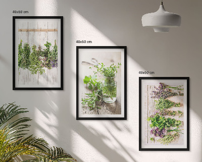 Conjunto de quadros para sala de estar Plantas de ervas aromáticas para a cozinha