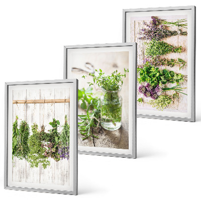 Conjunto de quadros para sala de estar Plantas de ervas aromáticas para a cozinha