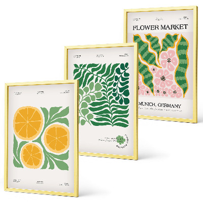 Conjunto de quadros para sala de estar Motivos de frutas e plantas em tons pastel