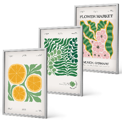 Conjunto de quadros para sala de estar Motivos de frutas e plantas em tons pastel