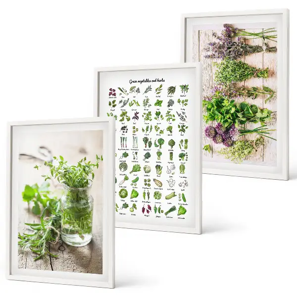 Conjunto de quadros de ervas secas estilo moderno para cozinha