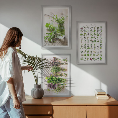 Composição de quadros moderna Ervas secas para a cozinha