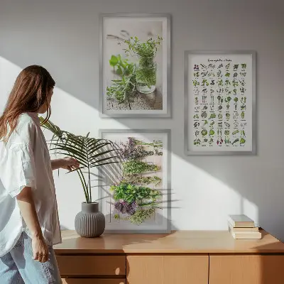 Conjunto de quadros de ervas secas estilo moderno para cozinha