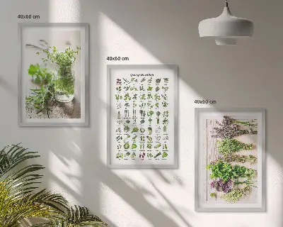 Conjunto de quadros de ervas secas estilo moderno para cozinha
