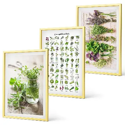 Conjunto de quadros de ervas secas estilo moderno para cozinha