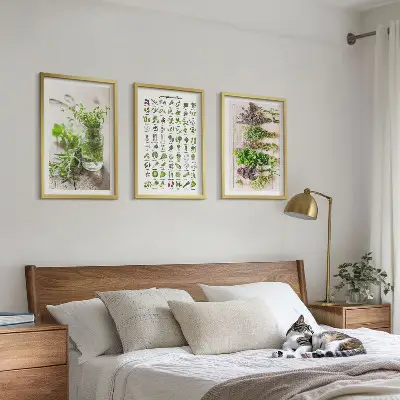 Conjunto de quadros de ervas secas estilo moderno para cozinha