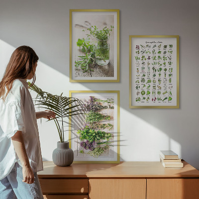 Composição de quadros moderna Ervas secas para a cozinha