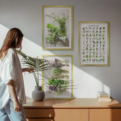 Conjunto de quadros de ervas secas estilo moderno para cozinha