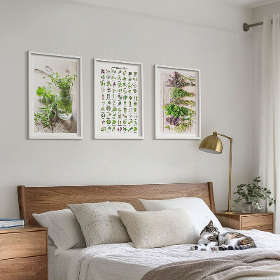 Composição de quadros moderna Ervas secas para a cozinha