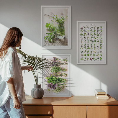 Composição de quadros moderna Ervas secas para a cozinha